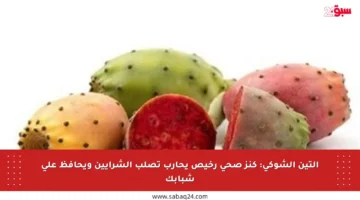 التين الشوكي: كنز صحي رخيص يحارب تصلب الشرايين ويحافظ على شبابك